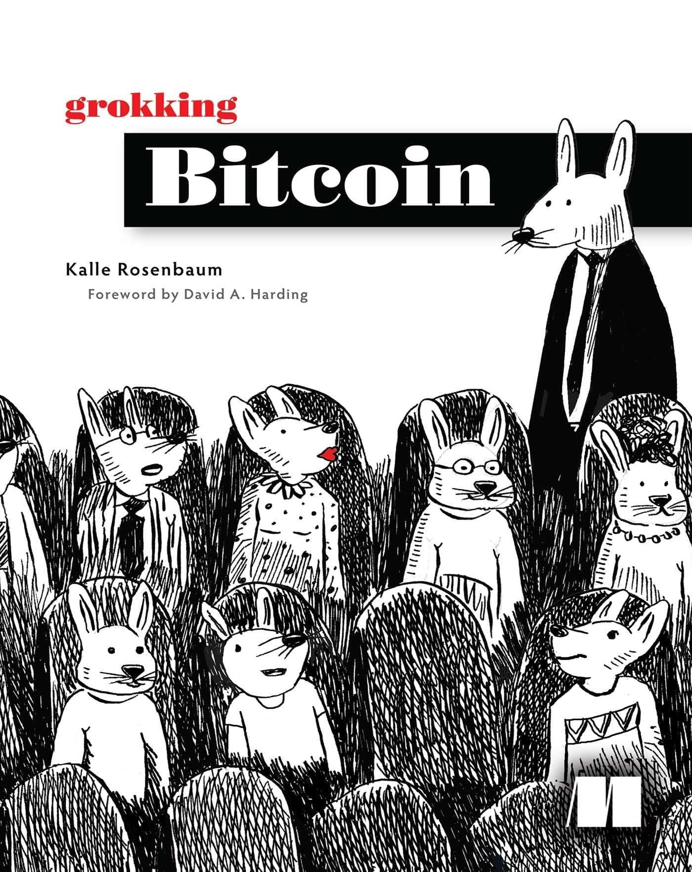 Grokking Bitcoin cover