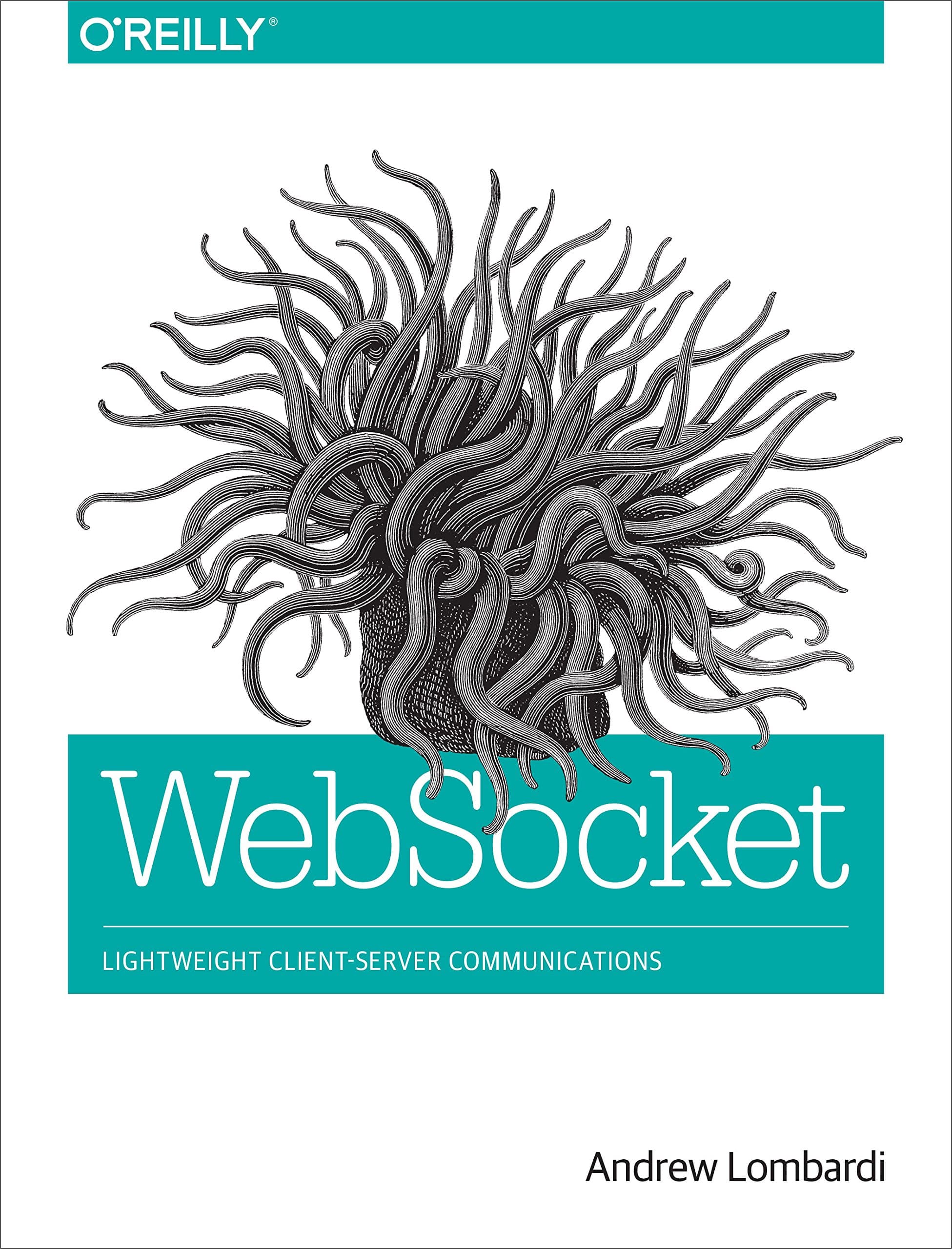 Websocket cover